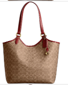 Coach Day Tote Bag In Signature Canvas-Tan/Rust