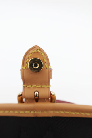 Louis Vuitton Nano Diane Monogram Canvas Shoulder Bag Brown – additional photo 7