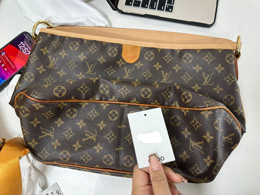 Louis Vuitton Delightful Handbag - PRE OWNED