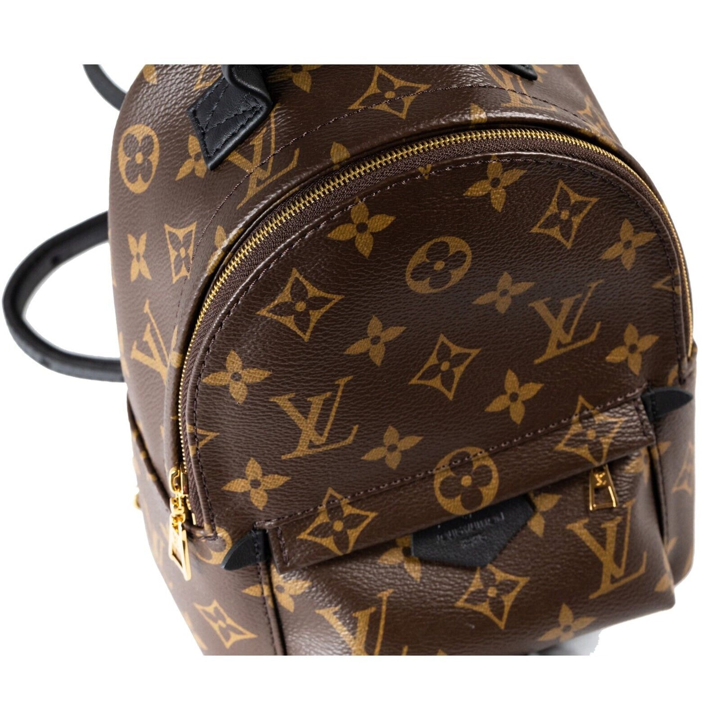 Louis Vuitton Palm Springs Backpack Mini Brown Canvas