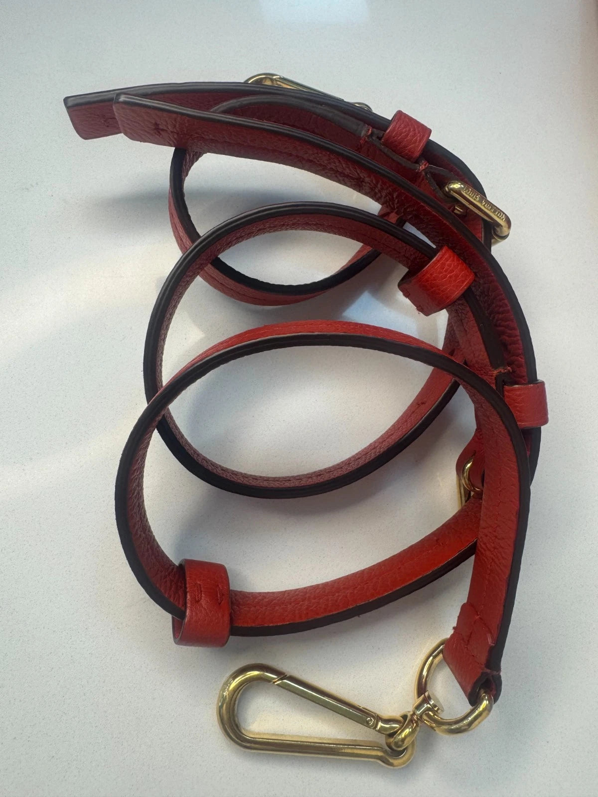 Louis Vuitton Damier Ebene Siena PM Top Handle Bag