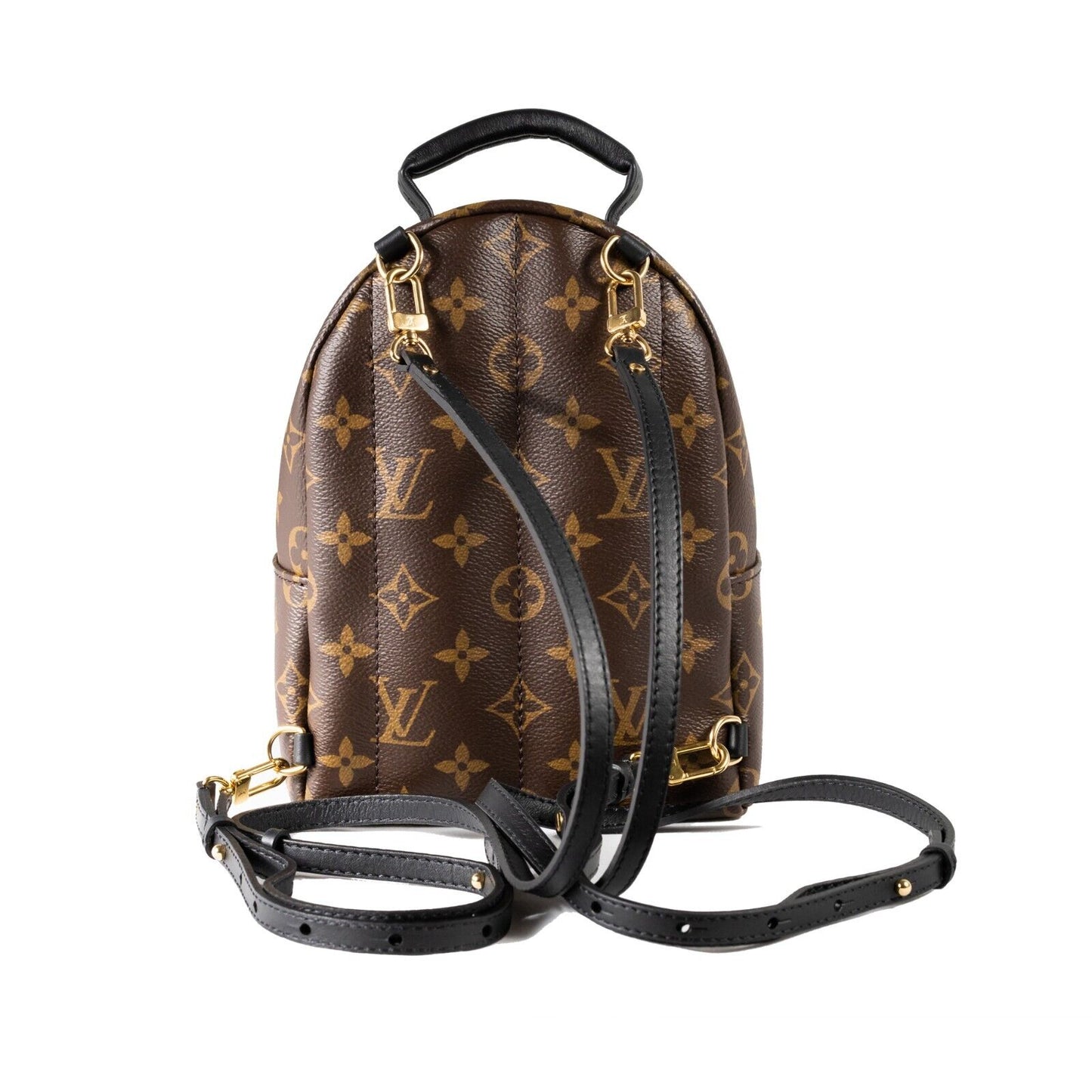 Louis Vuitton Palm Springs Backpack Mini Brown Canvas