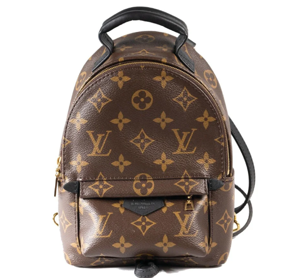 Mochila Louis Vuitton Palm Springs Mini Lona Marrón