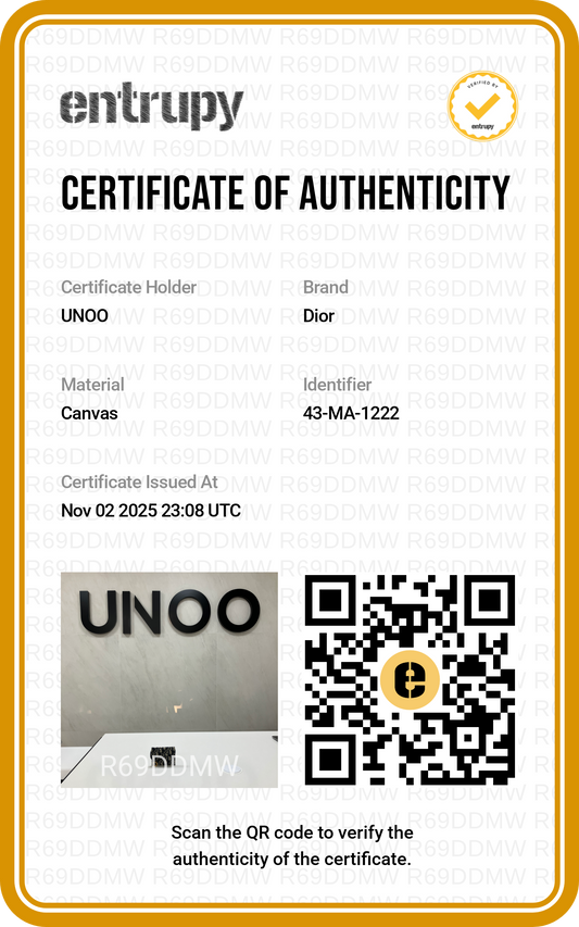 Christian Dior Saddle Chain Wallet - PRE OWNED