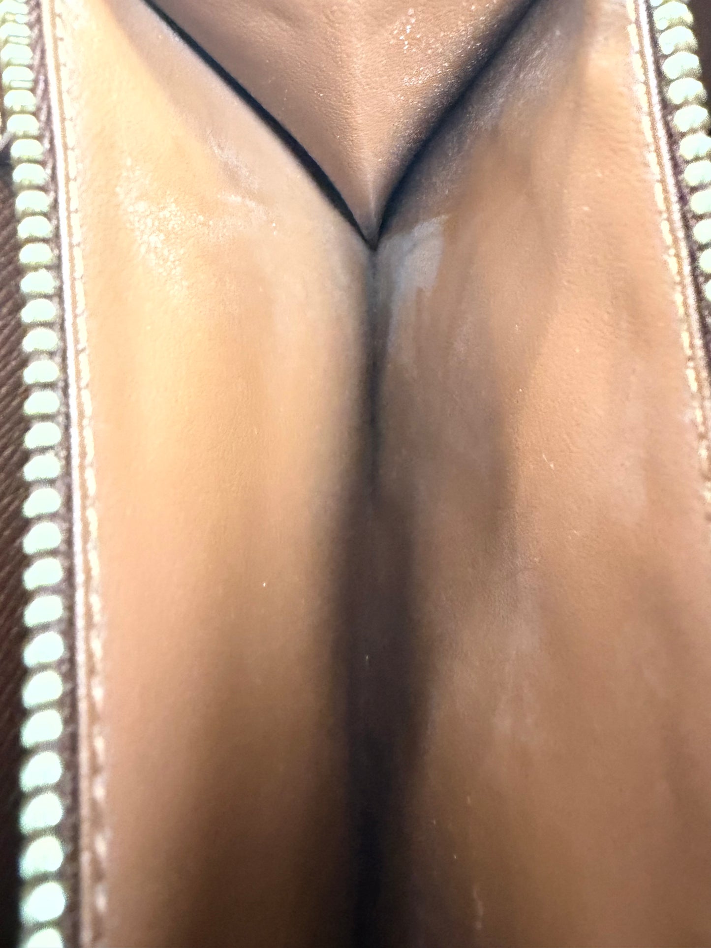 Louis Vuitton Monogram Canvas Sarah Wallet - PRE OWNED