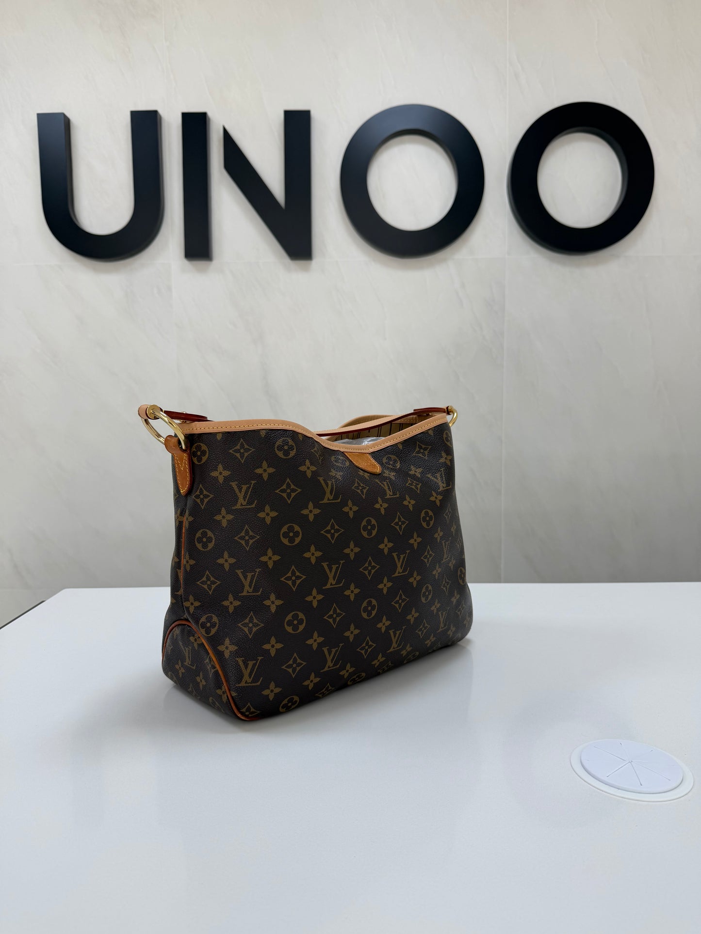 Louis Vuitton Delightful Handbag - PRE OWNED