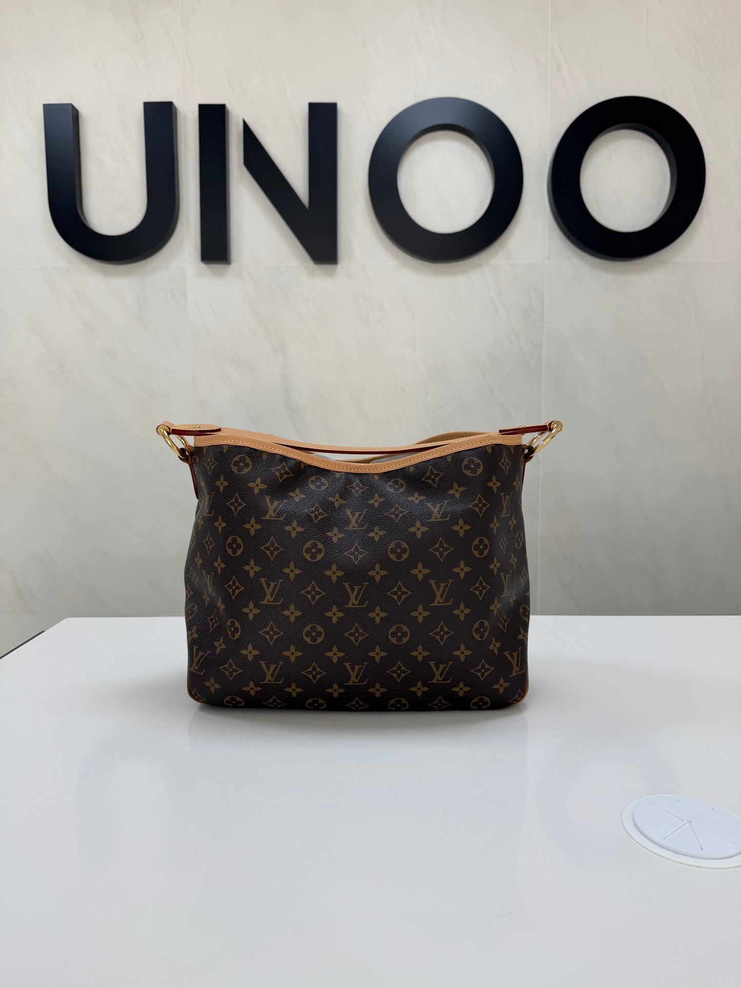 Louis Vuitton Delightful Handbag - PRE OWNED