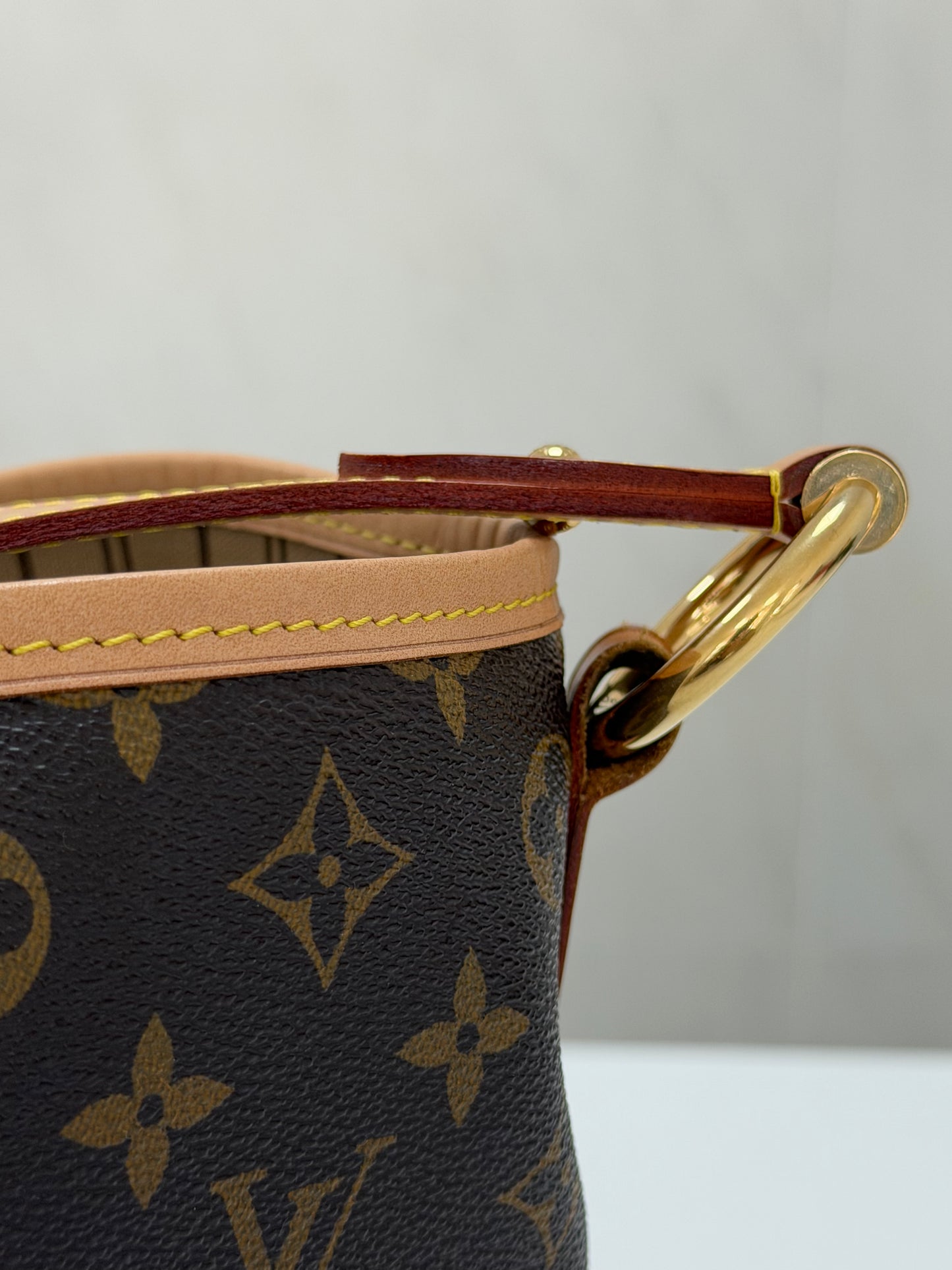 Louis Vuitton Delightful Handbag - PRE OWNED