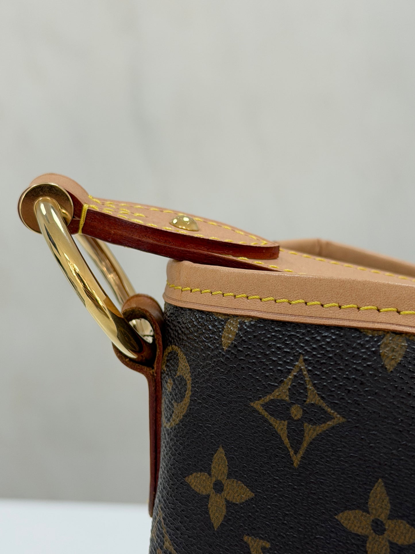 Louis Vuitton Delightful Handbag - PRE OWNED