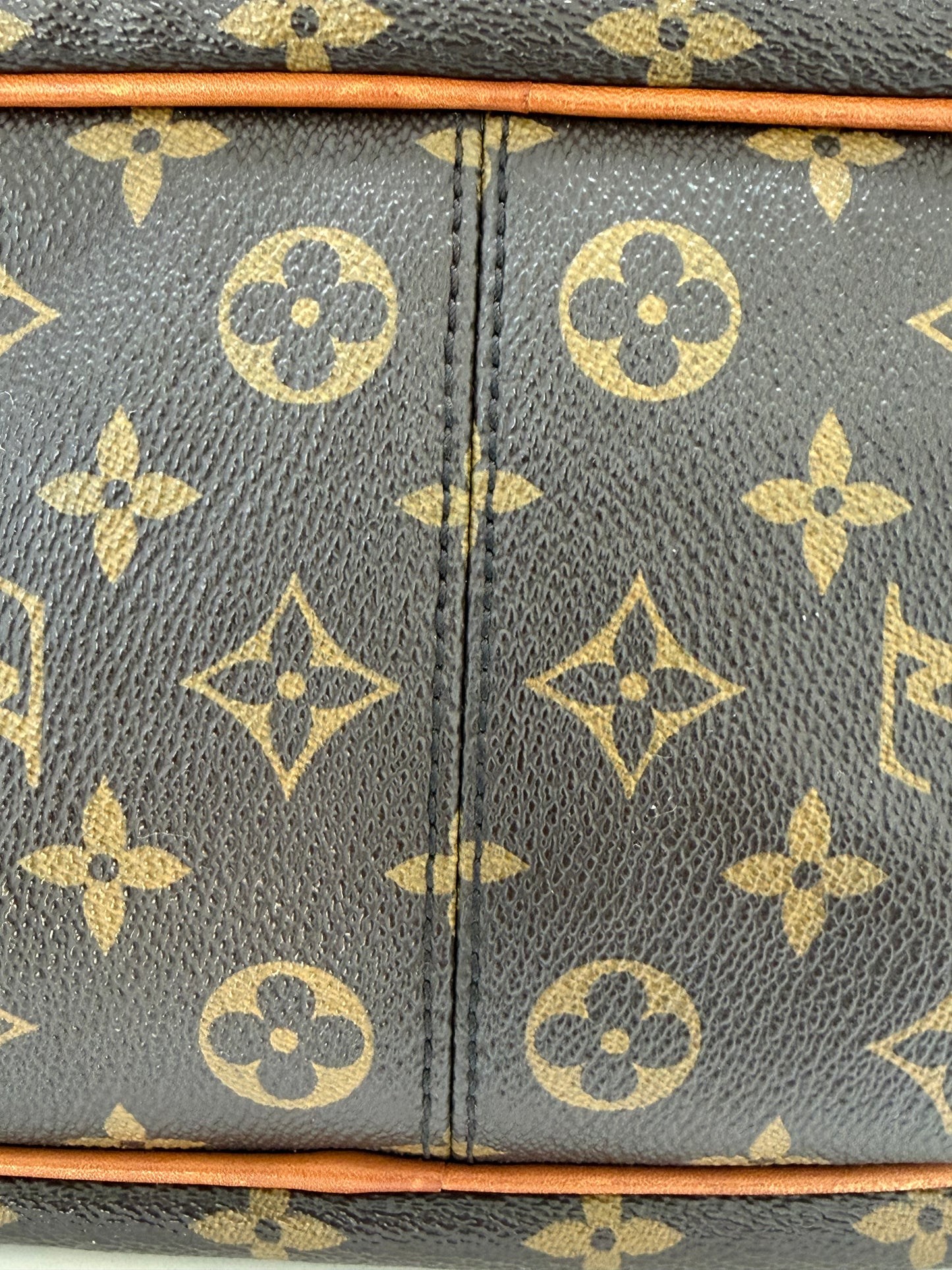 Louis Vuitton Delightful Handbag - PRE OWNED