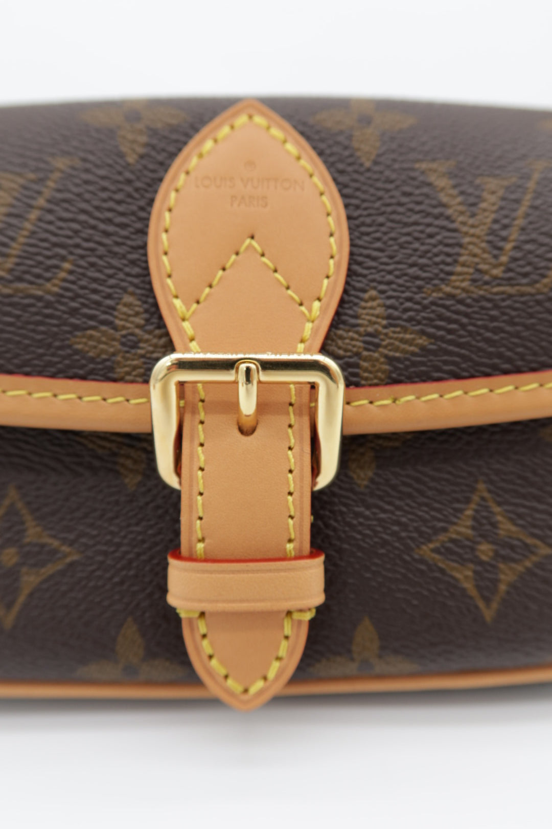 Louis Vuitton Nano Diane Monogram Canvas Shoulder Bag Brown – additional photo 9