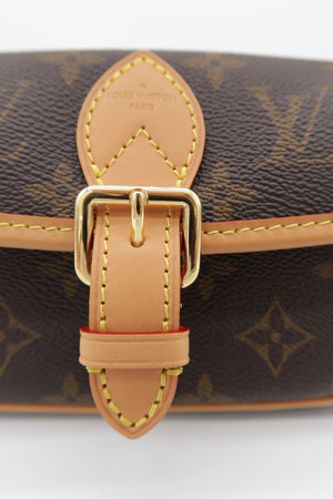 Louis Vuitton Nano Diane Monogram Canvas Shoulder Bag Brown – additional photo 11