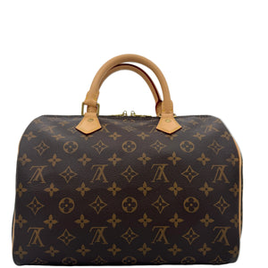 Louis Vuitton monogram handbag on a white background