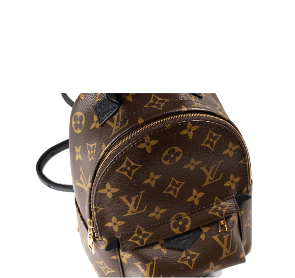 Louis Vuitton Palm Springs Mini Monogram Canvas Backpack Crossbody Bag –