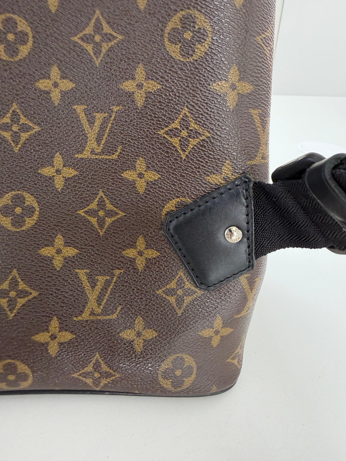 Louis Vuitton Macassar Palk Monogram Backpack - PRE OWNED