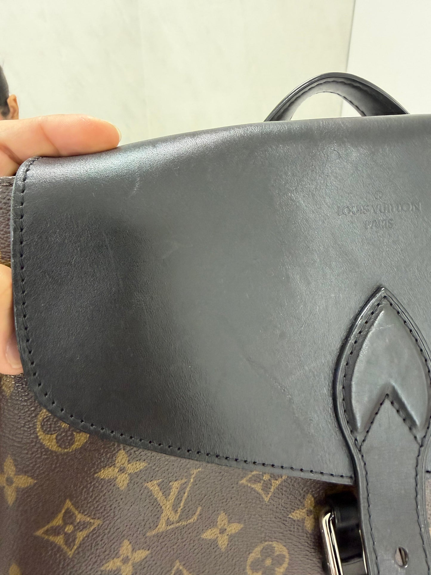 Louis Vuitton Macassar Palk Monogram Backpack - PRE OWNED