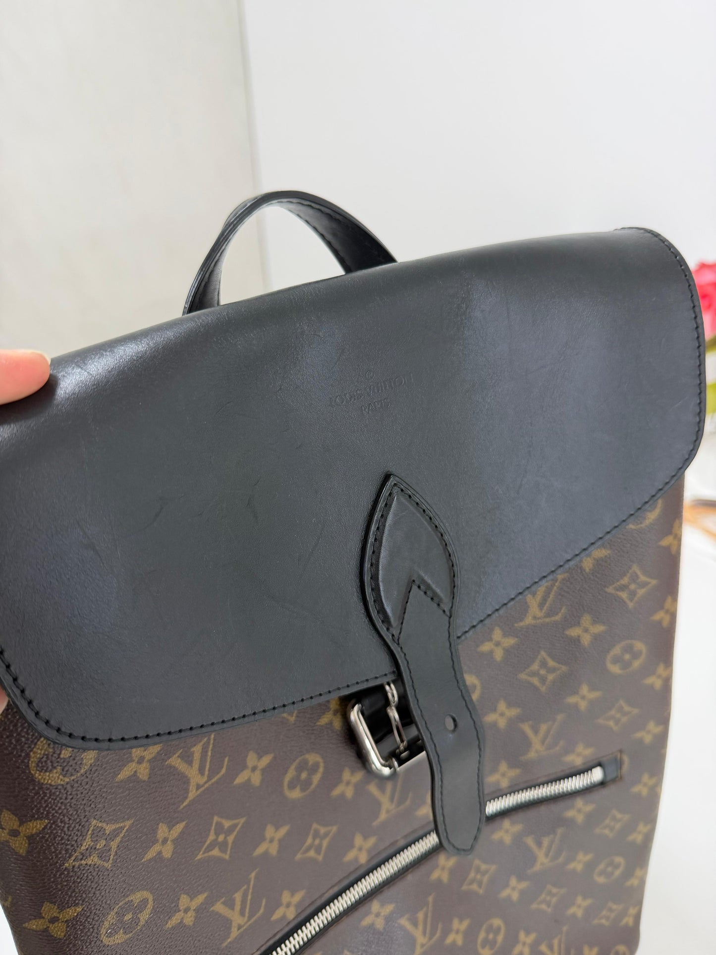 Louis Vuitton Macassar Palk Monogram Backpack - PRE OWNED