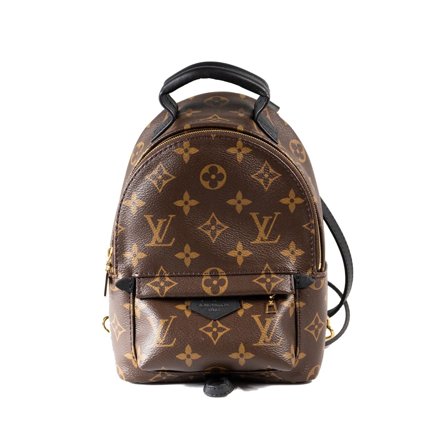 Louis Vuitton Palm Springs Backpack Mini Brown Canvas