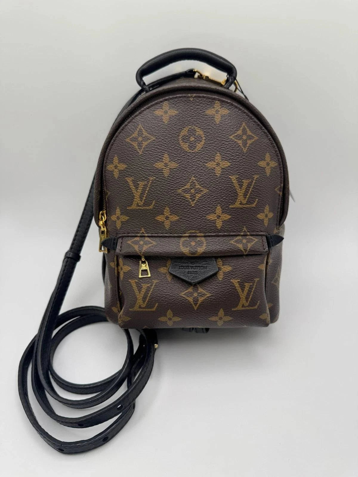 Louis Vuitton Palm Springs Mini Monogram Canvas Backpack Crossbody Bag –
