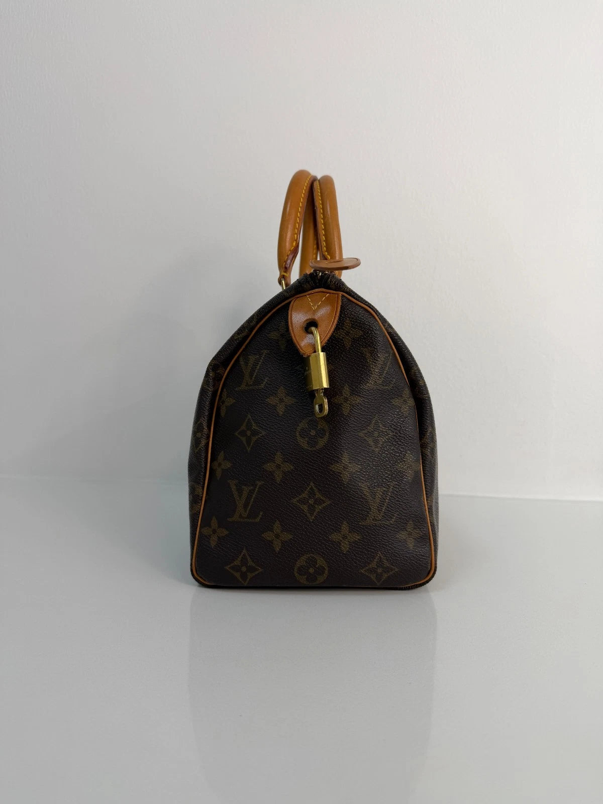 Louis Vuitton Damier Ebene Siena PM Top Handle Bag